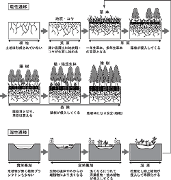 ���Ԋw�E���Ԍn�ی�_�Ŏ�舵�����